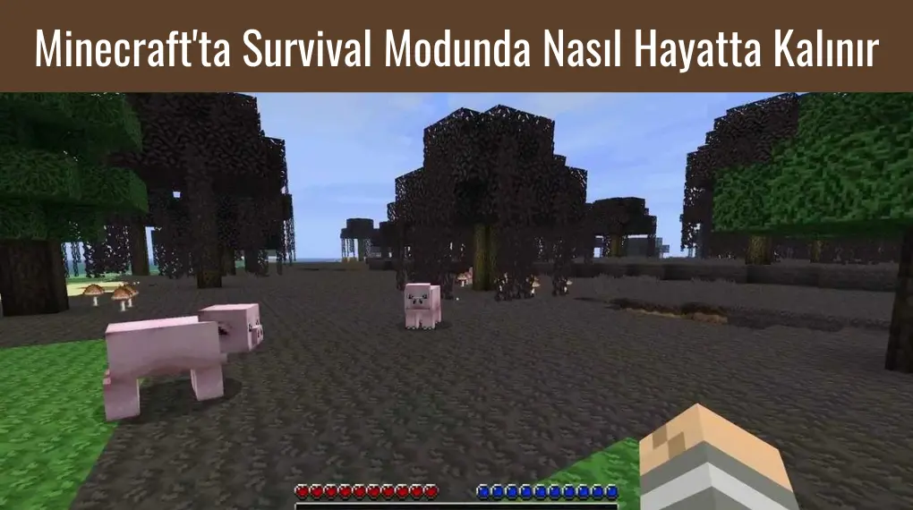 Minecraft'ta Survival Modunda Nasıl Hayatta Kalınır