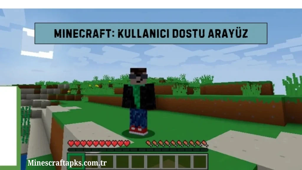 Katma Değerli ve Kullanıcı Dostu Arayüz