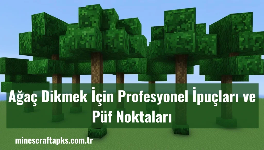 Minecraft 2025'te Ağaç Dikmek İçin Eksiksiz Kılavuz 2 Ağaç Dikmek İçin Profesyonel İpuçları ve Püf Noktaları