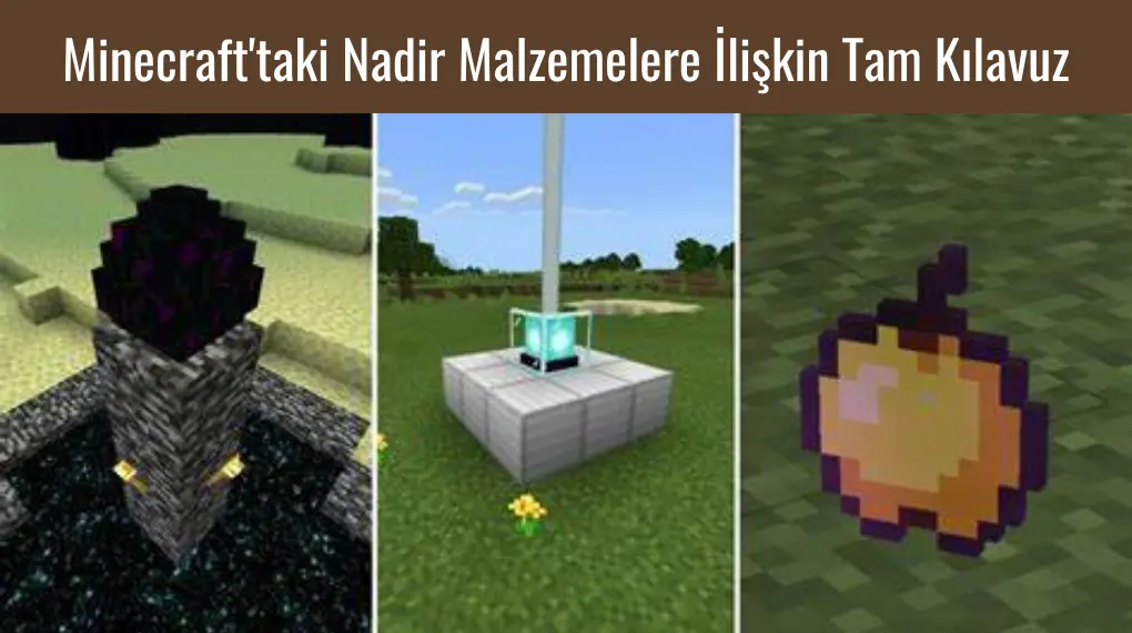 Minecraft'taki Nadir Malzemelere İlişkin Tam Kılavuz